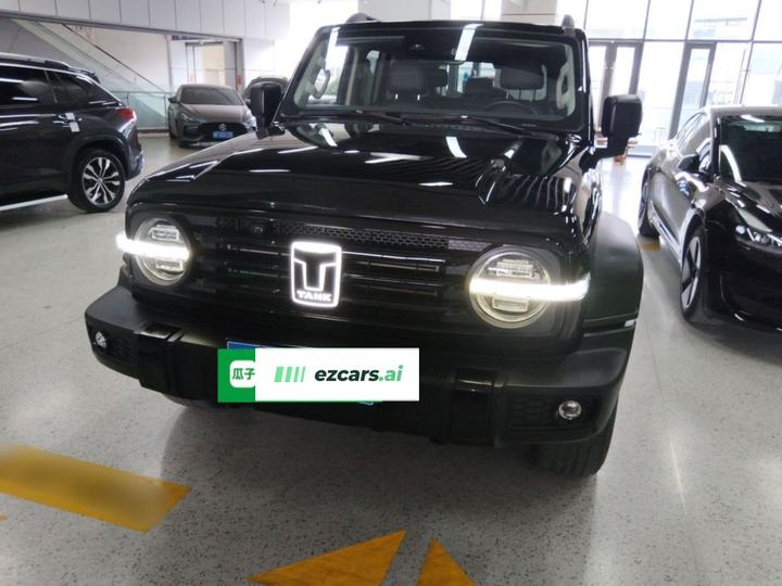 300 2023 Off-road 2.0T Conqueror photo 2
