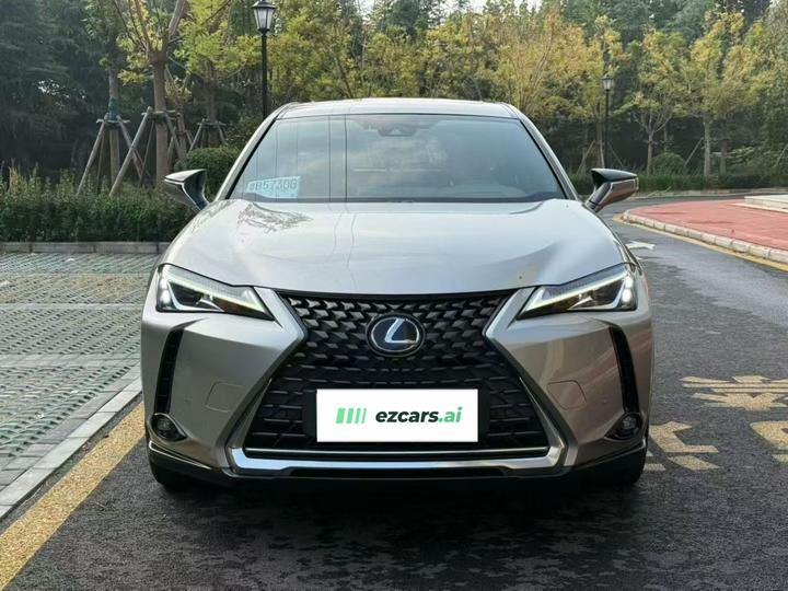UX EV 2020 300e photo 2