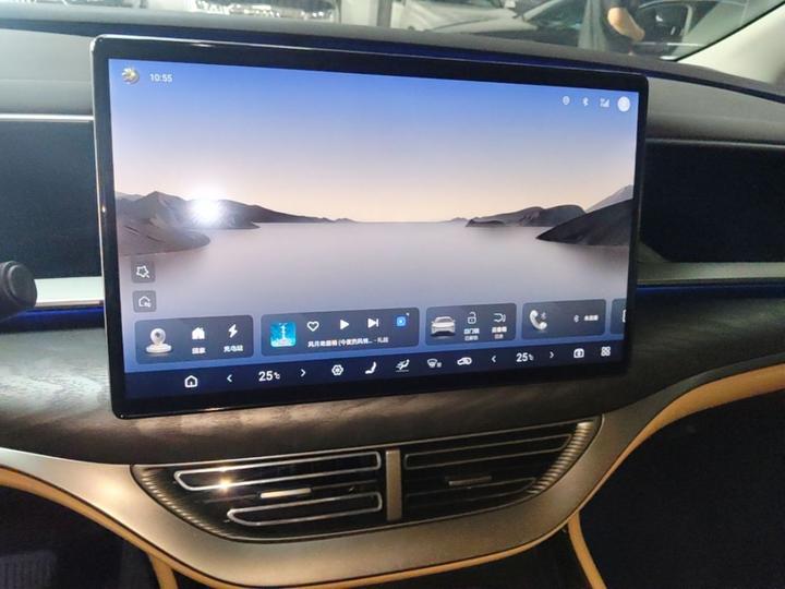 D9 2024 EV 600 AWD Premium photo 8