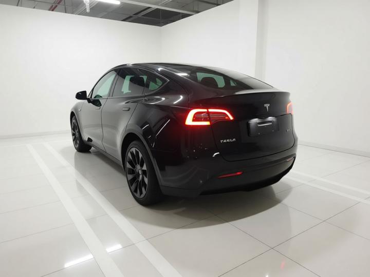 Model Y 2022 Long Range AWD photo 4