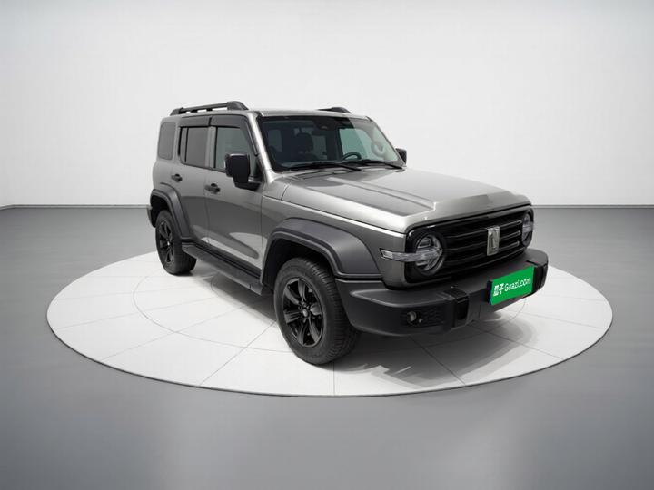 300 2021 Off-road 2.0T Conqueror photo 3