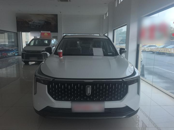 Bestune T55 2023 1.5T AT photo 2