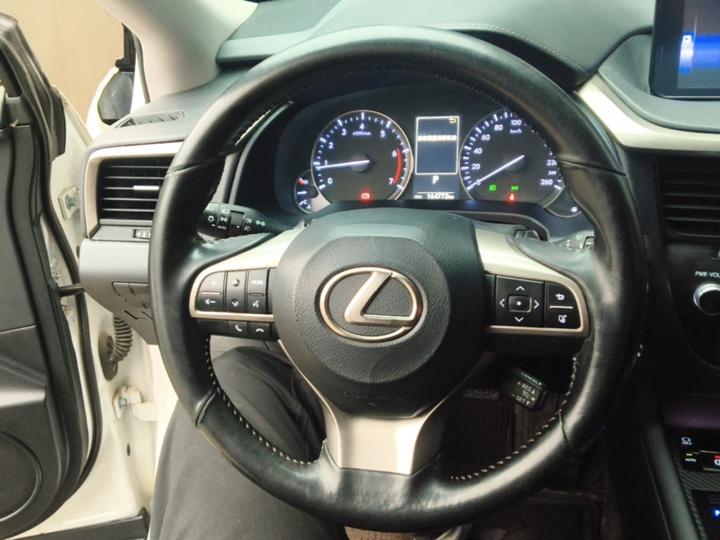 RX 2016 300 RWD Elite China V photo 6