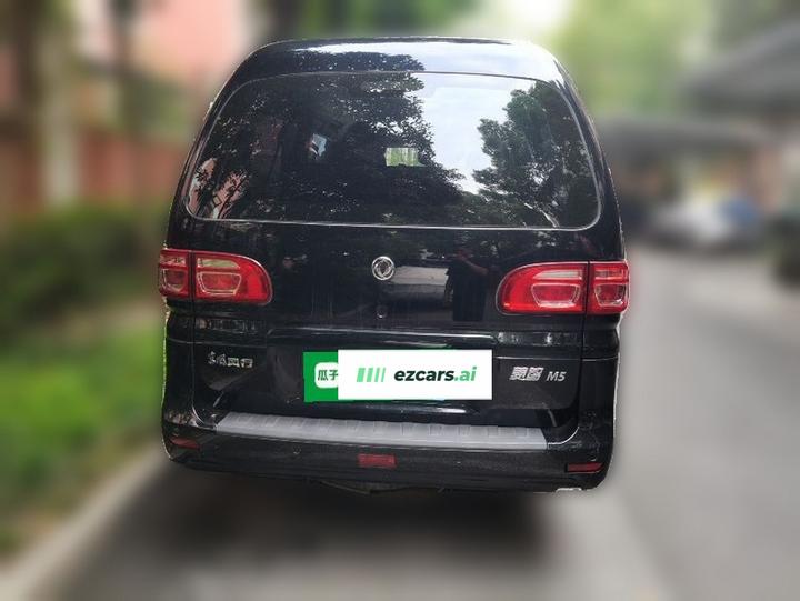 Lingzhi 2020 M5L 1.6L photo 5