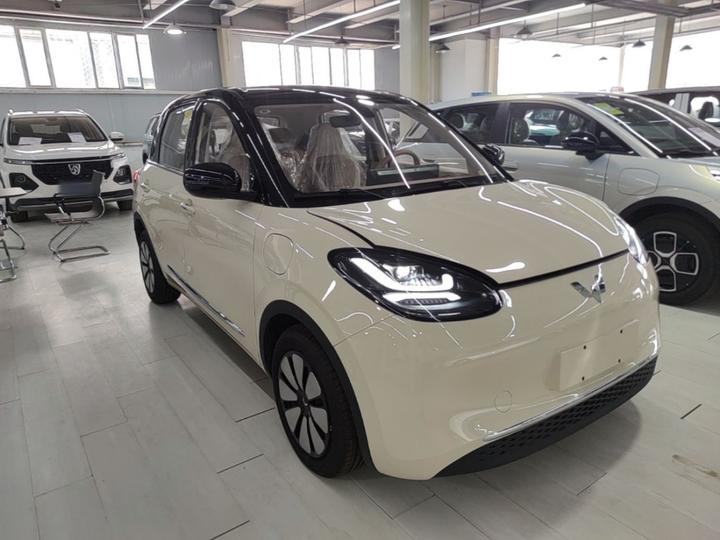 Wuling Bingo 2025 333km photo 3