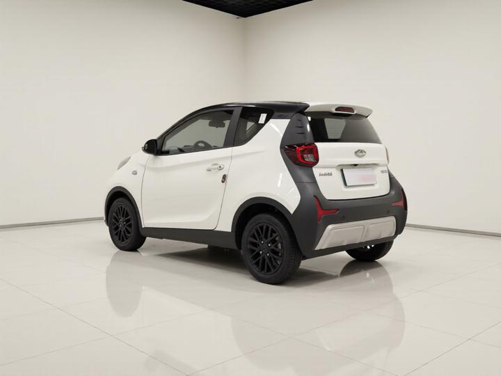 QQ Little Ant 2024 251km photo 4