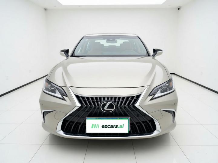 ES 2022 300h Excellence photo 2