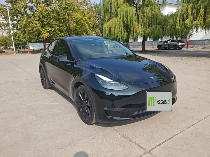 Model Y 2021 Standard Range RWD photo 3