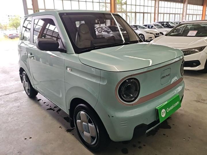 2024 Panda mini 200km Endurance Bear photo 3