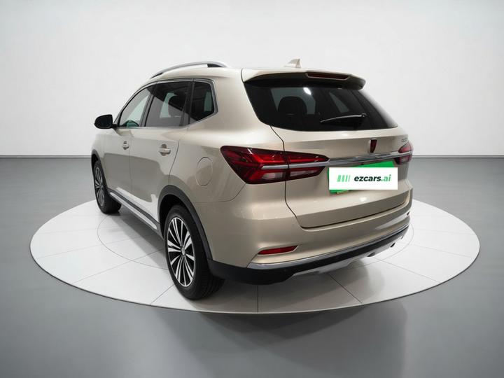 RX5 EV 2017 eRX5 50T Hybrid Flagship photo 4