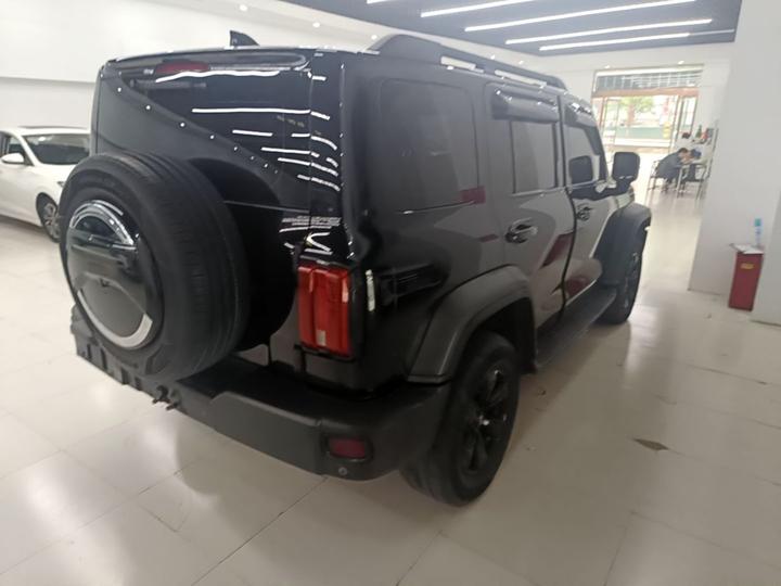 300 2021 Off-road 2.0T photo 6