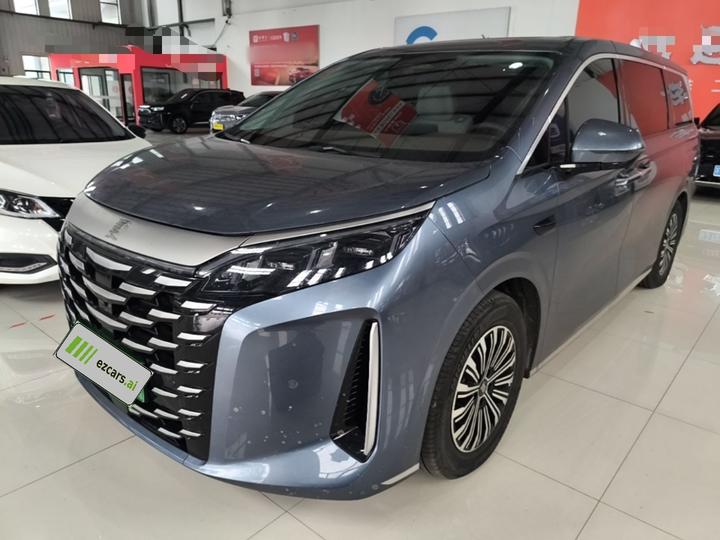 2025 DM-i 1.5T 180km Excellence