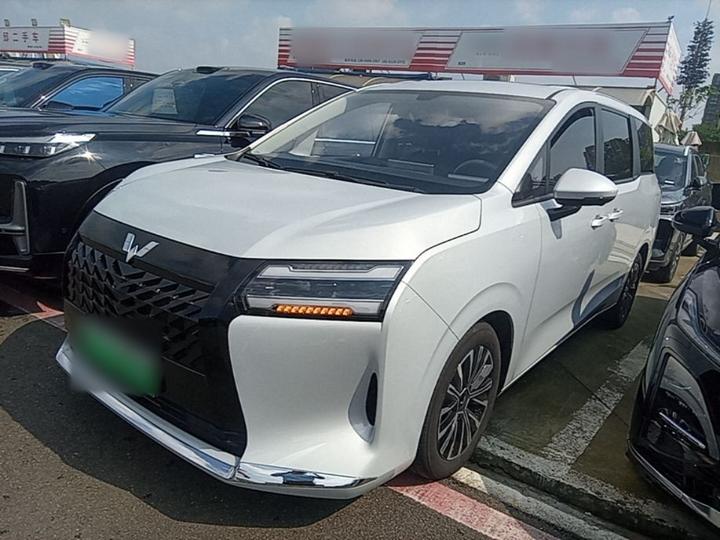 730 EV 2025 125km Luxury