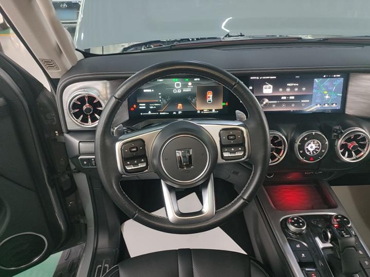 300 2021 Off-road 2.0T Conqueror photo 6