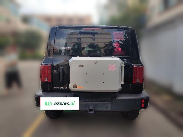 300 2025 2.0T Petrol photo 5