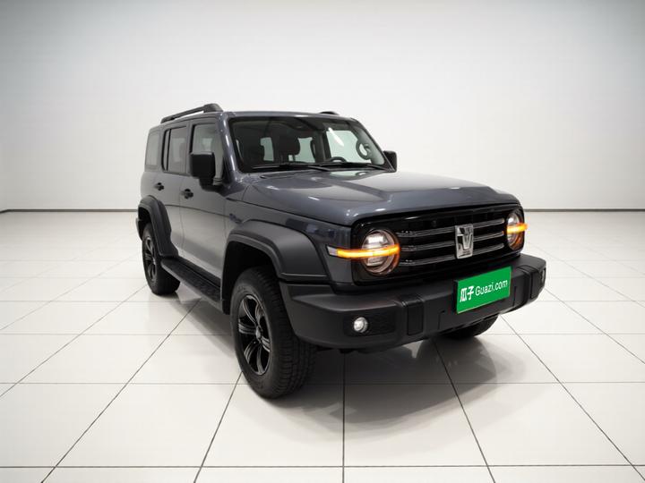 300 2021 Off-road 2.0T Conqueror photo 3