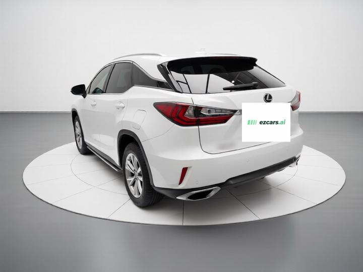 RX 2016 300 RWD Elite China V photo 4