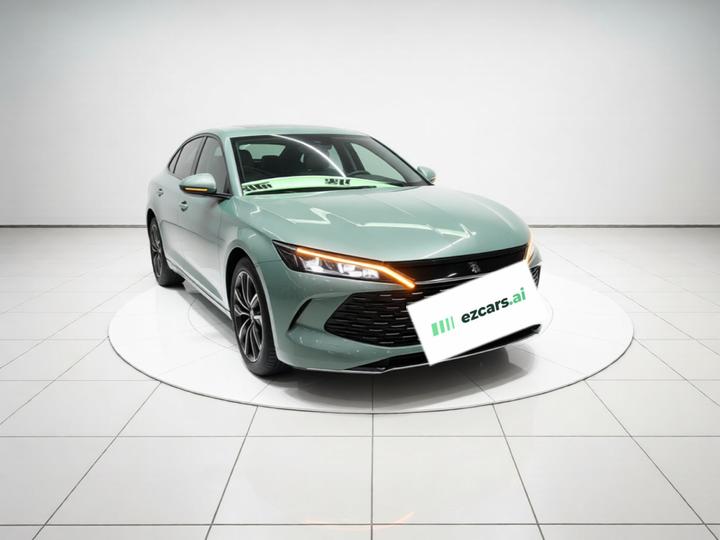 Qin L 2024 DM-i 120KM Excellence photo 3