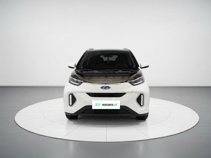 QQ Little Ant 2019 4-Seater Smart 35kWh photo 2