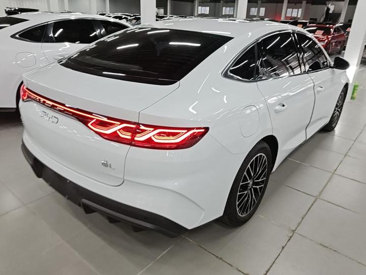 Qin L 2024 DM-i 120KM Excellence photo 4