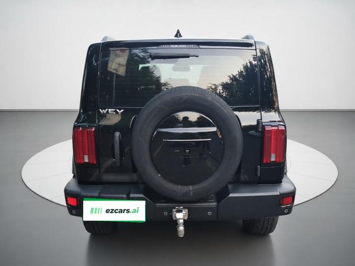 300 2021 Off-road 2.0T photo 5