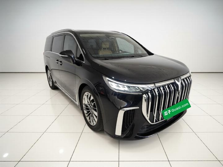 Voyah Dreamer 2024 PHEV Extended Range Flagship photo 3