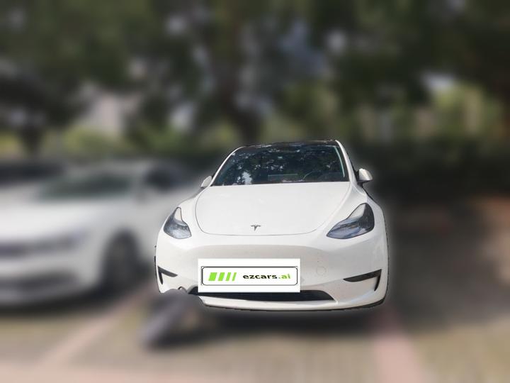 Model Y 2024 RWD photo 2