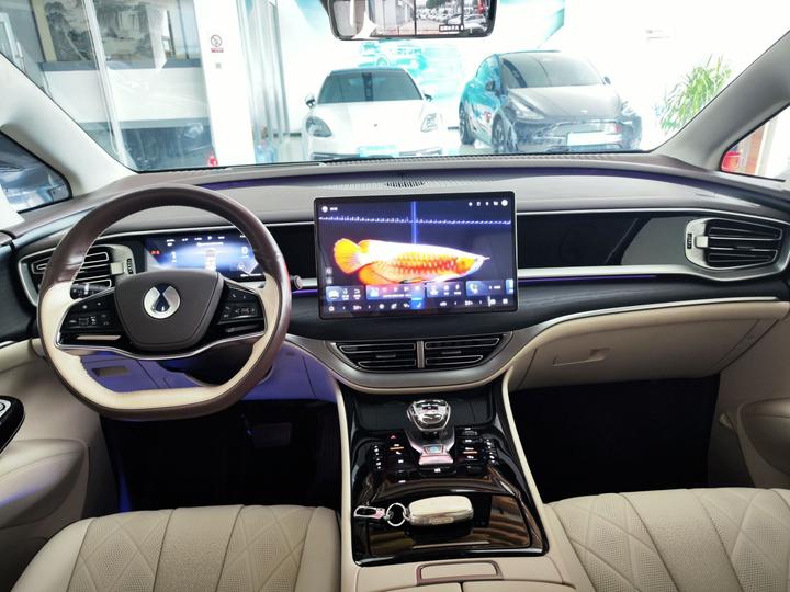 D9 2024 DM-i 980 AWD Noble photo 5