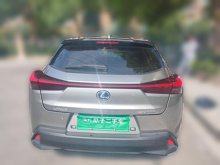 UX EV 2020 300e photo 5
