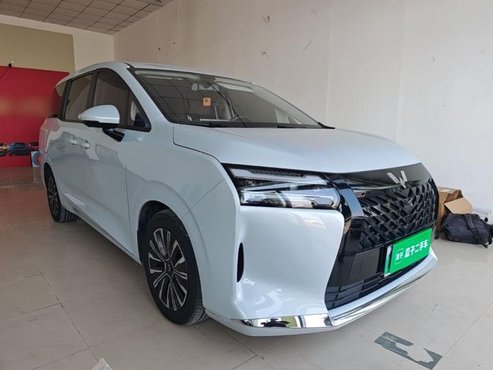 730 EV 2025 125km Luxury photo 3