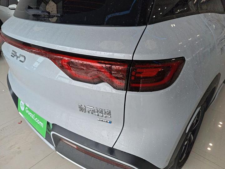 Yuan UP 2025 ADAS 401KM Leading photo 7