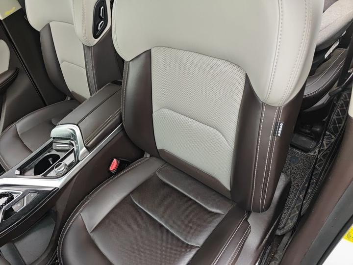 Jiaji 2019 1.5TD MHEV DCT Exclusive photo 7