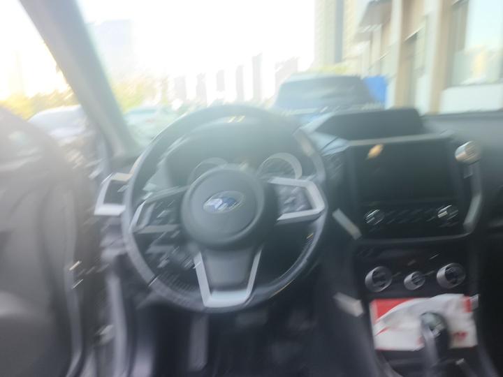 Forester 2020 2.0i Luxury EyeSight photo 7