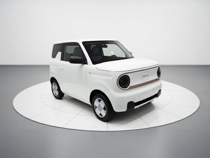 2024 Panda mini 200km Endurance Bear photo 3