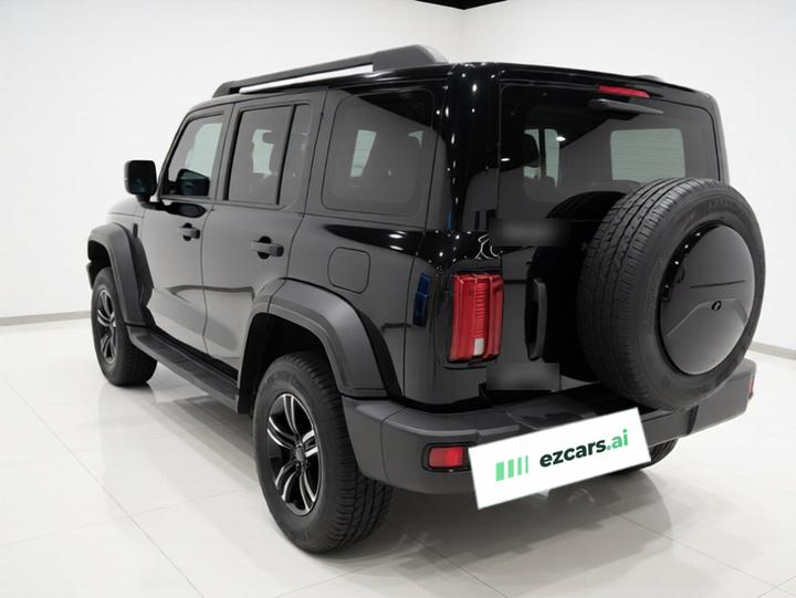 300 2023 Off-road 2.0T Conqueror photo 4