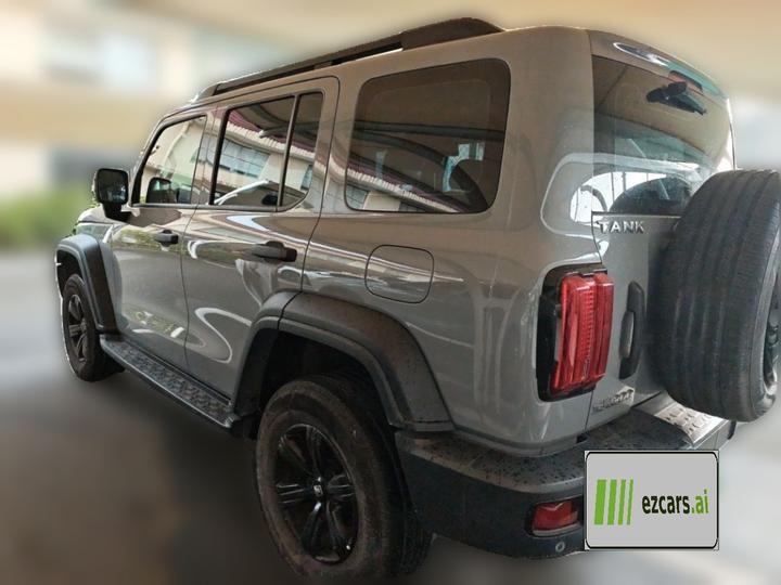 300 2021 Off-road 2.0T Conqueror photo 4