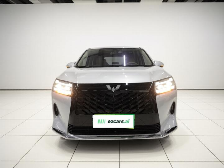 730 EV 2025 125km Luxury photo 2