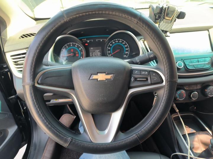 Cavalier 2019 320 MT photo 3