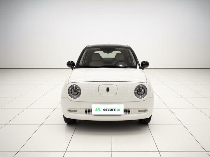 2021 351km Luxury photo 2