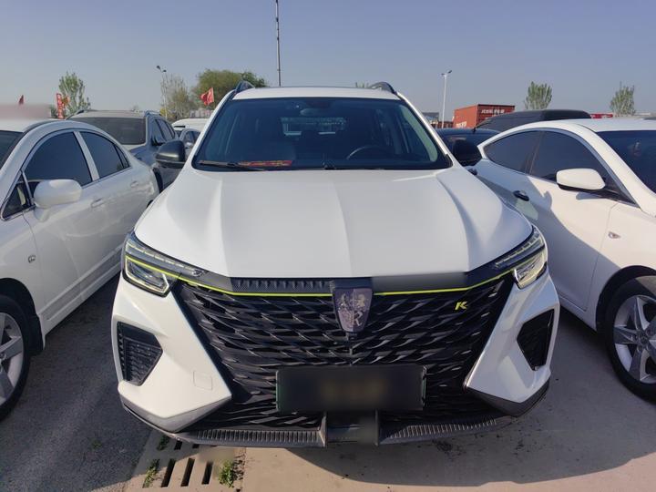 RX5 EV 2021 ePLUS Luxury photo 2