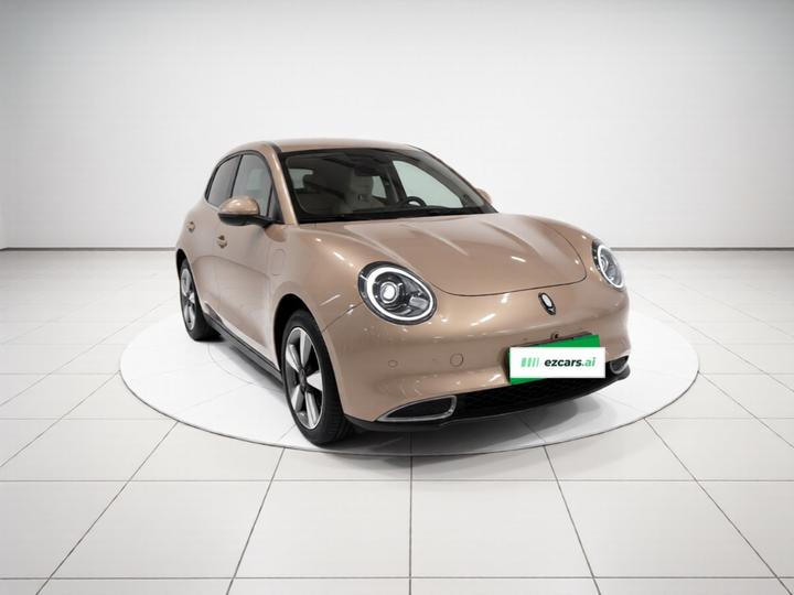 Good Cat 2023 401km Standard Range Premium LFP photo 3