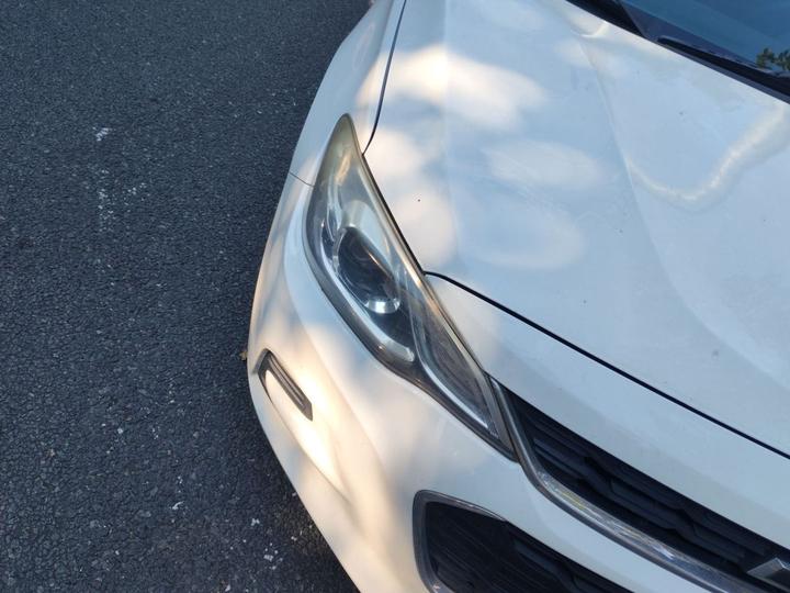 Cavalier 2018 320 AT photo 7