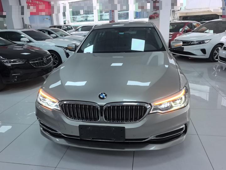 5 Series 2020 530Li Leading Luxury photo 2