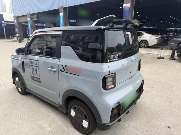 2025 210km Panda photo 4