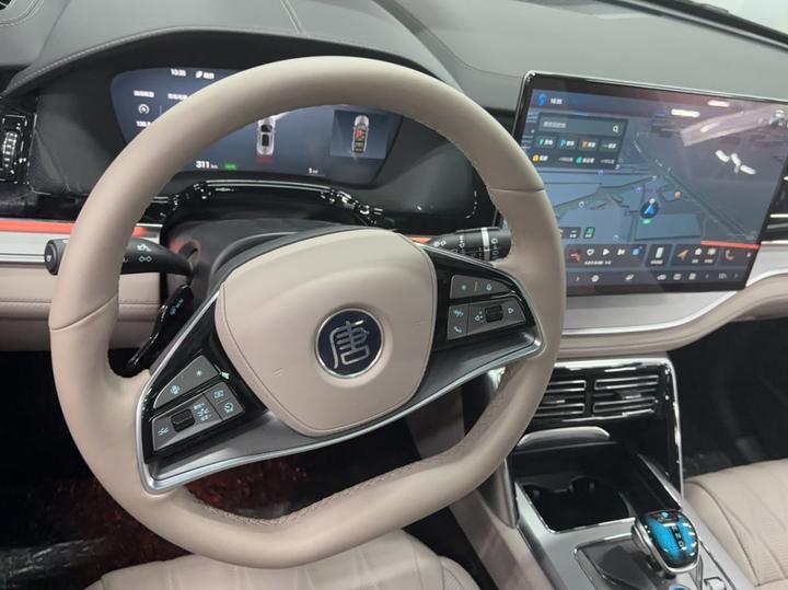 Tang EV 2025 ADAS DM-i 115KM Premium photo 8