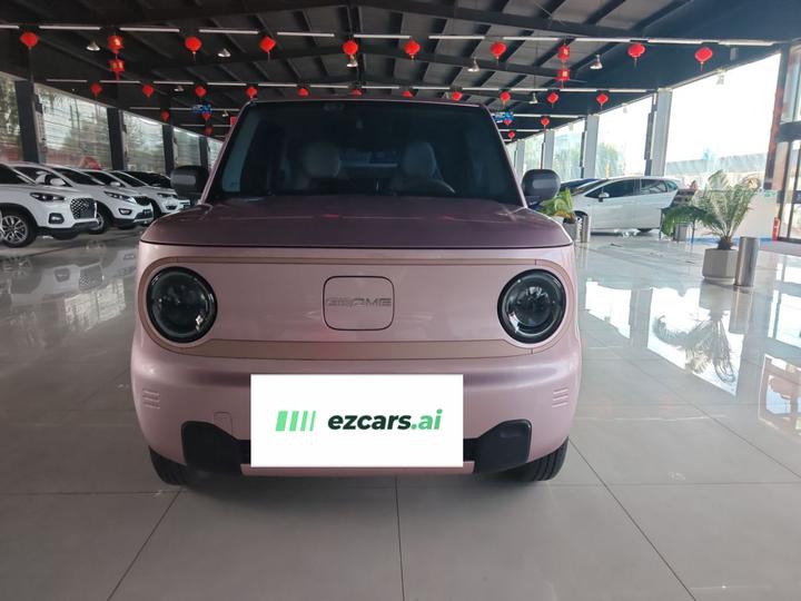 2024 Panda mini 200km Endurance Bear photo 2