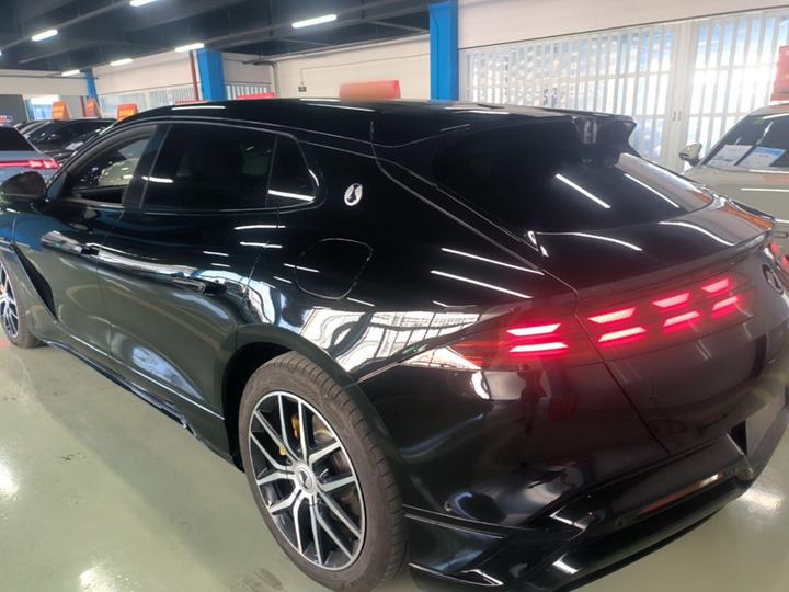 Z9GT 2024 1100 AWD Max photo 4