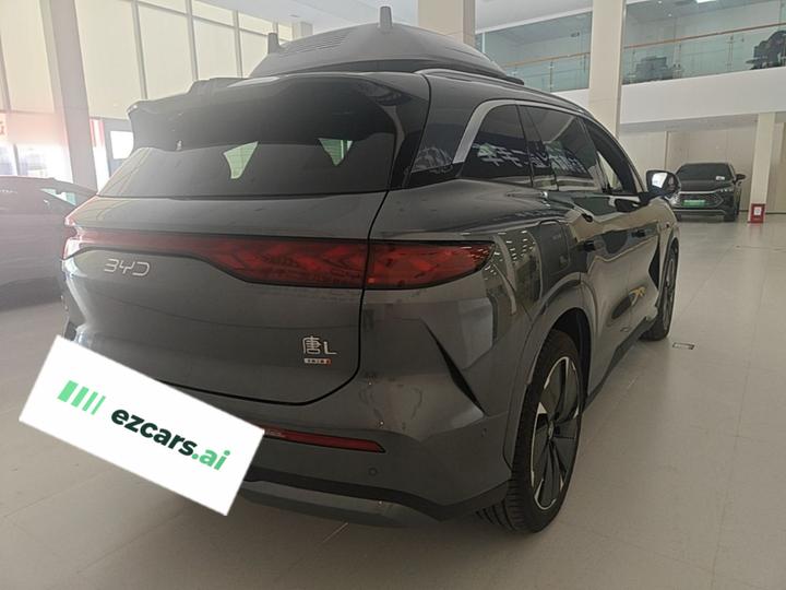 Tang L 2025 DM 175KM photo 4