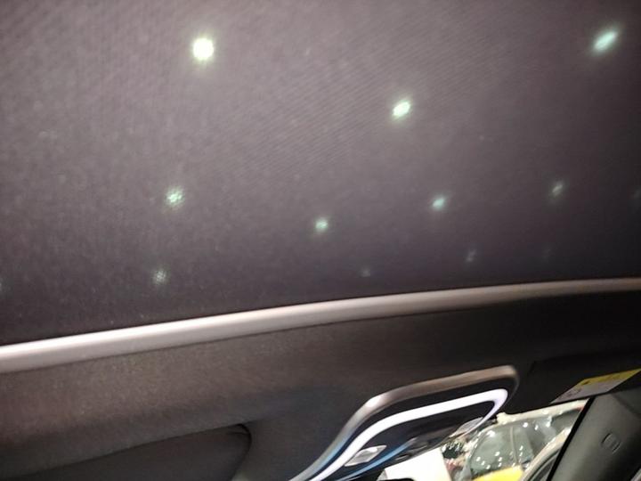 X 2020 PHEV Flagship photo 7