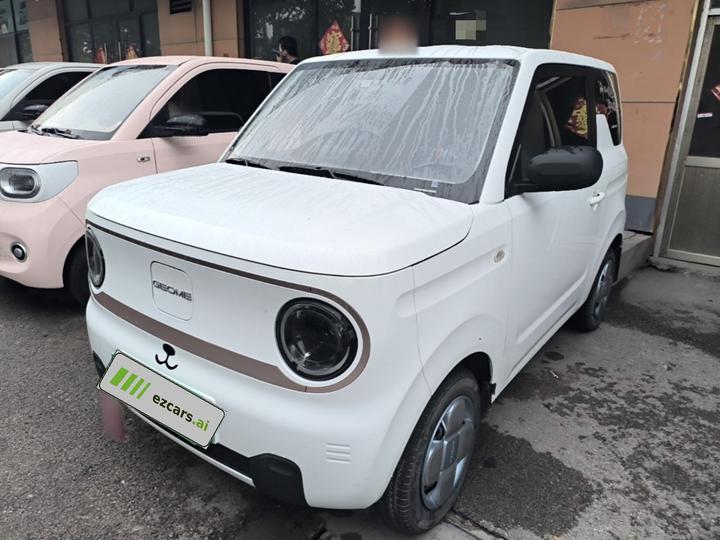 2024 Panda mini 200km Endurance Bear